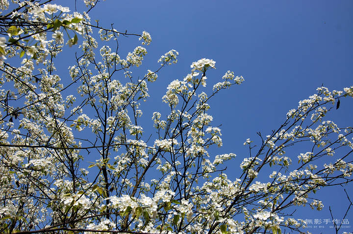 DSC_0682.jpg