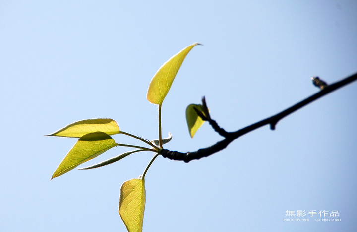 DSC_0703.jpg