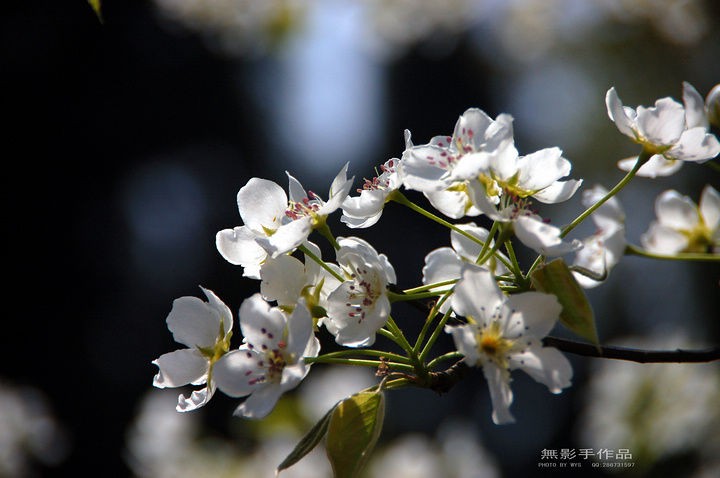 DSC_0711.jpg