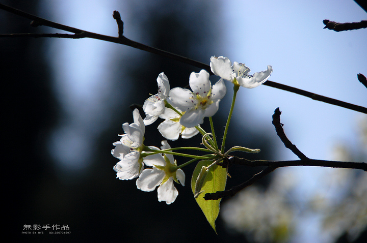 DSC_0712.jpg