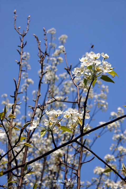 DSC_0733.jpg