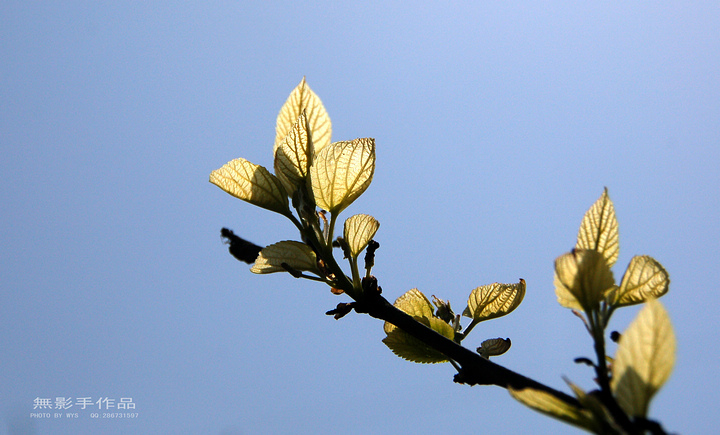 DSC_0739.jpg
