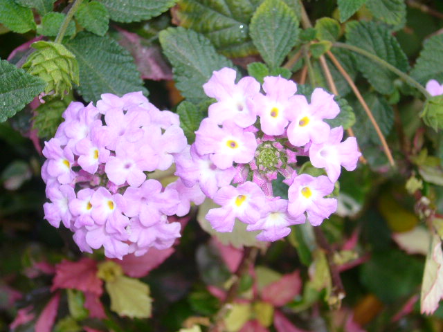 3.26.P1080486.JPG