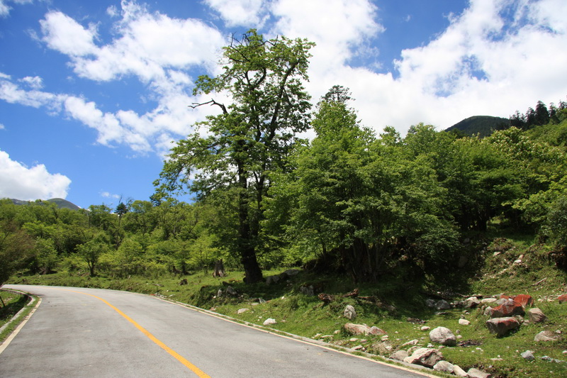 20081022_9360c226a7356b6e60baQbC9jc6KUUG0.jpg