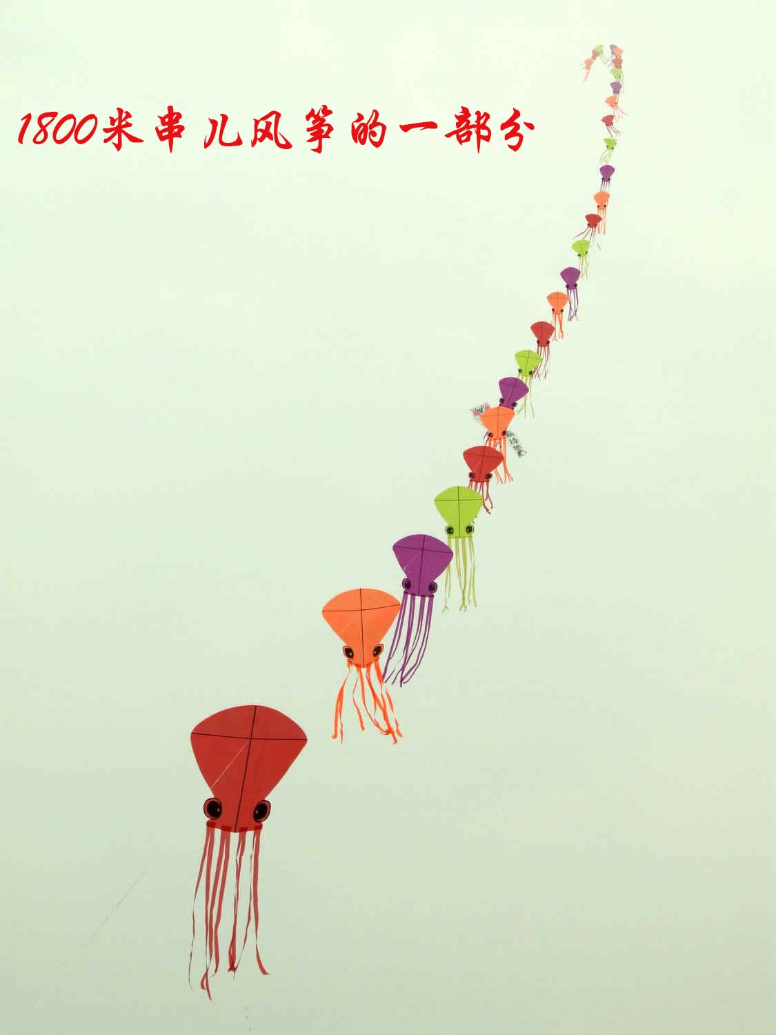 DSCF6238.JPG