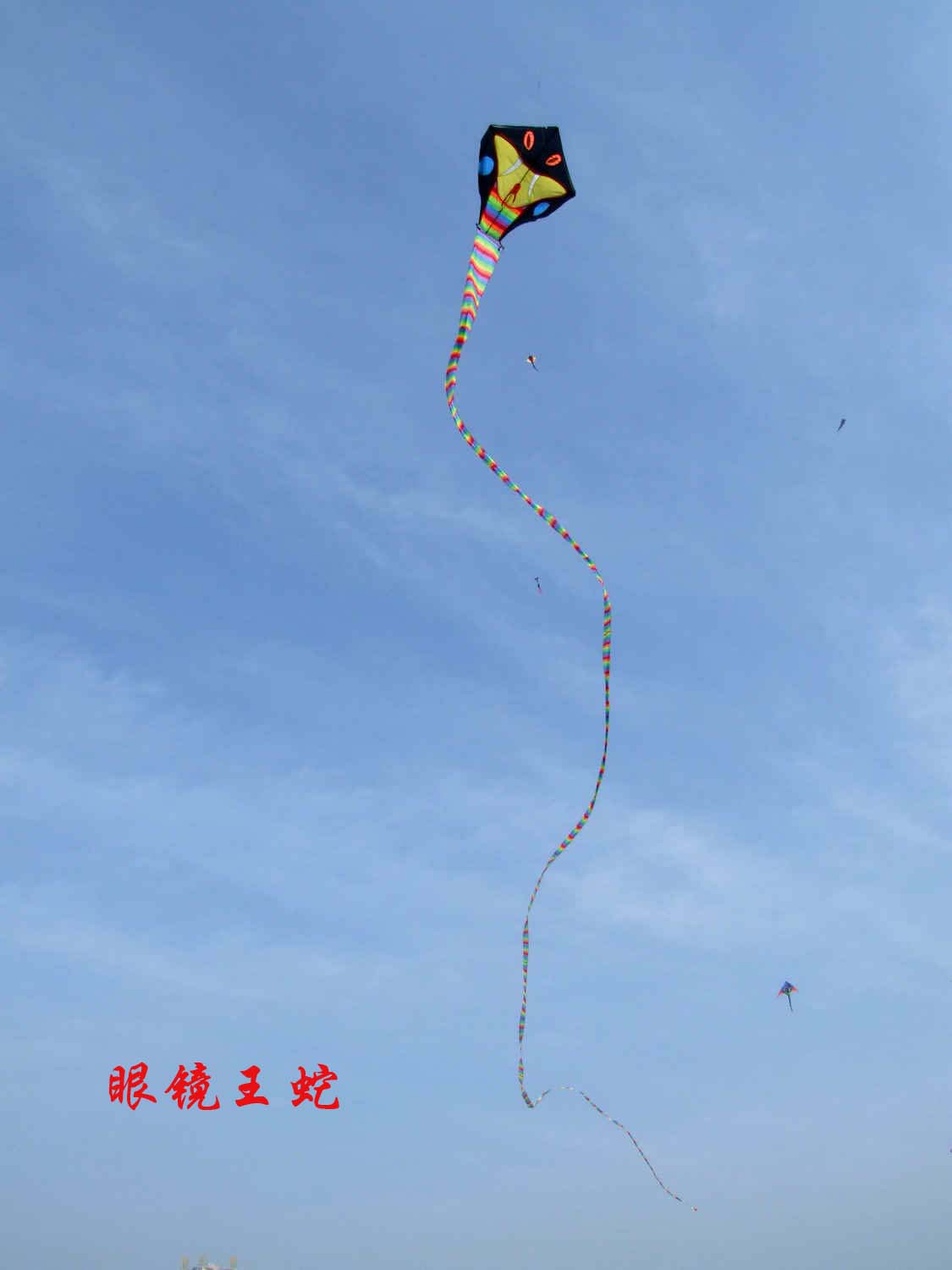 DSCF5534.JPG
