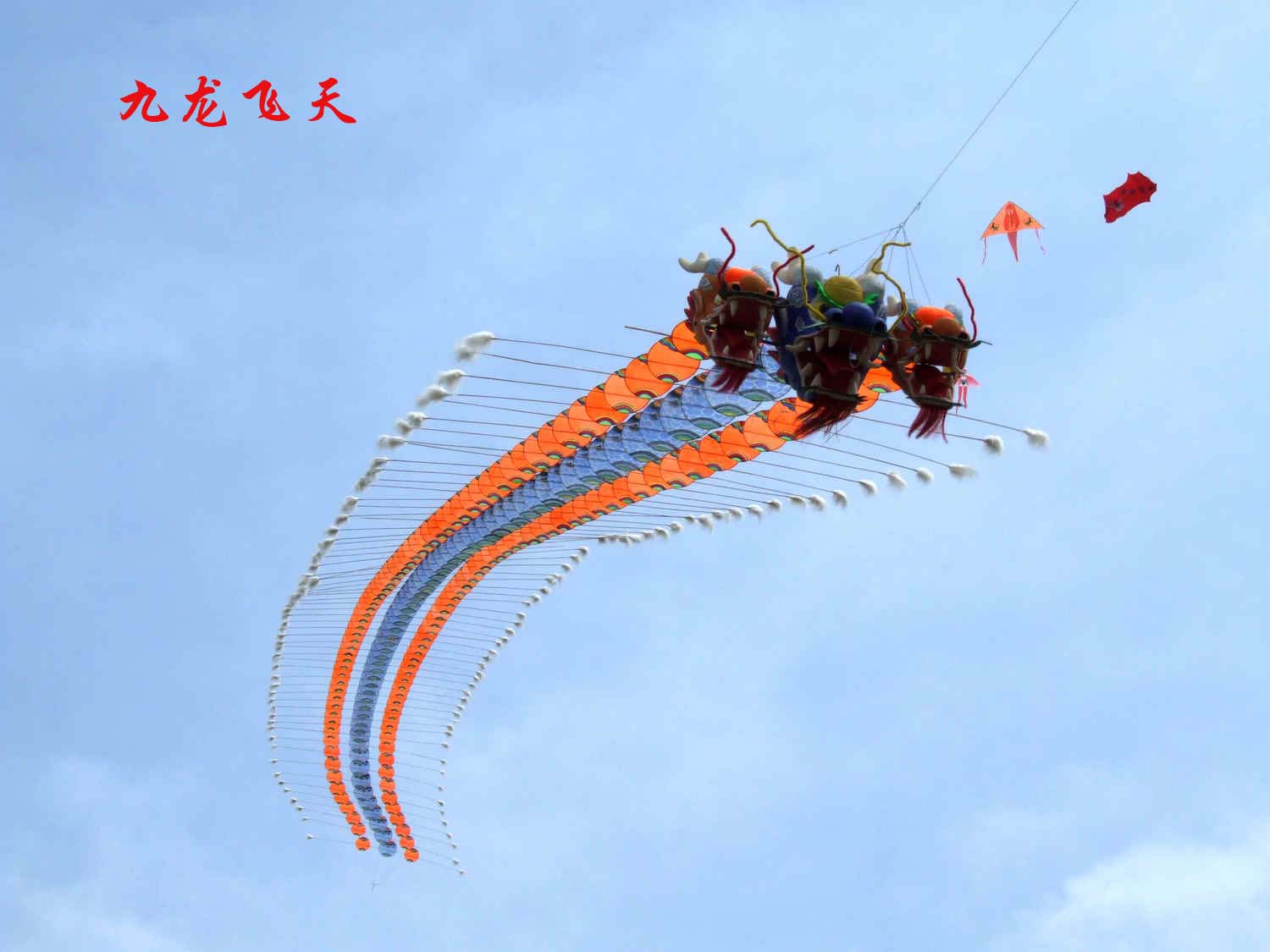 DSCF5819.JPG