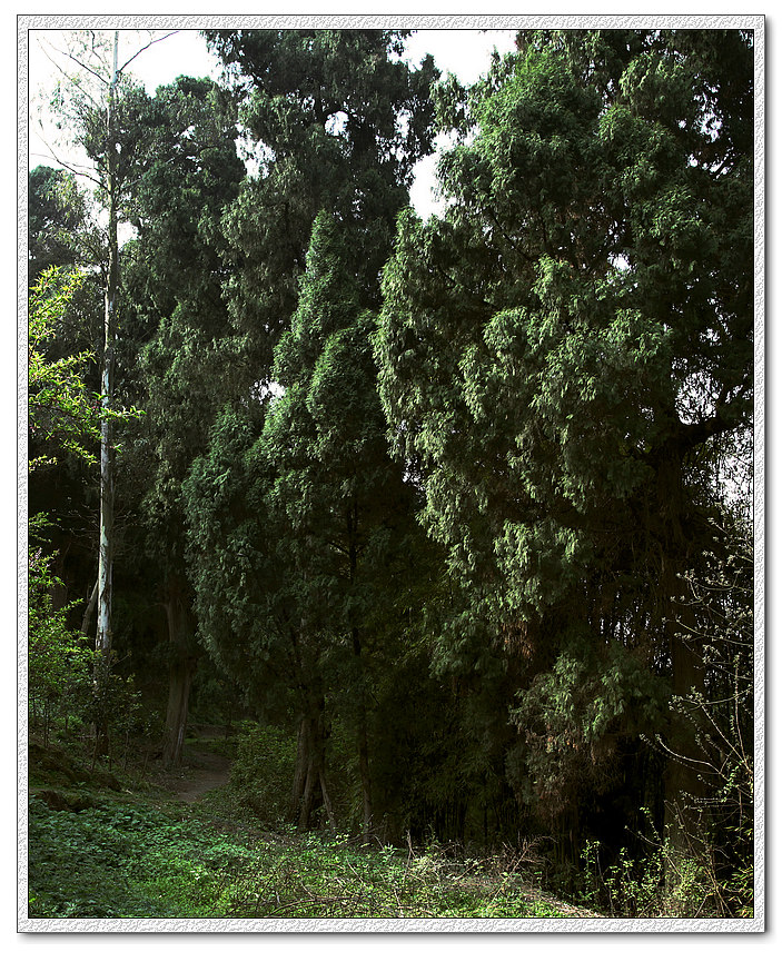 西充县百福寺后山令人陶醉的风光