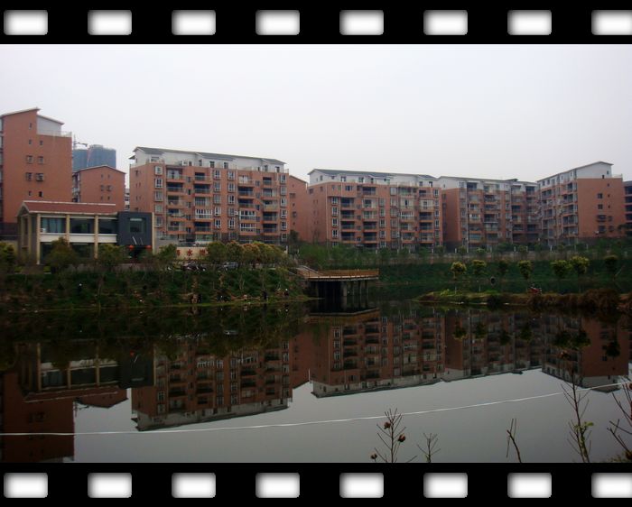 DSC09630.JPG