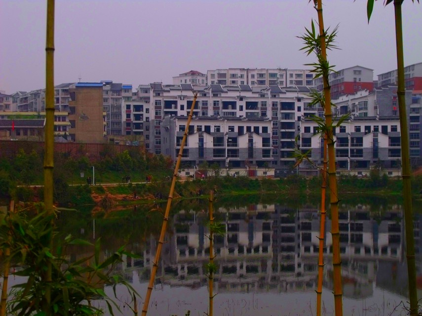 z5.jpg