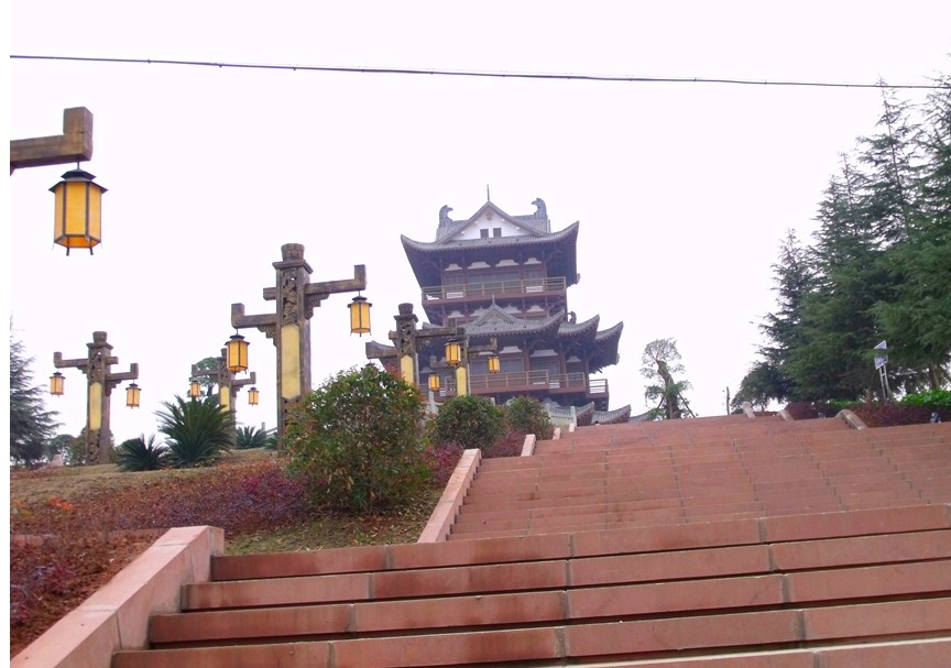 z9.jpg