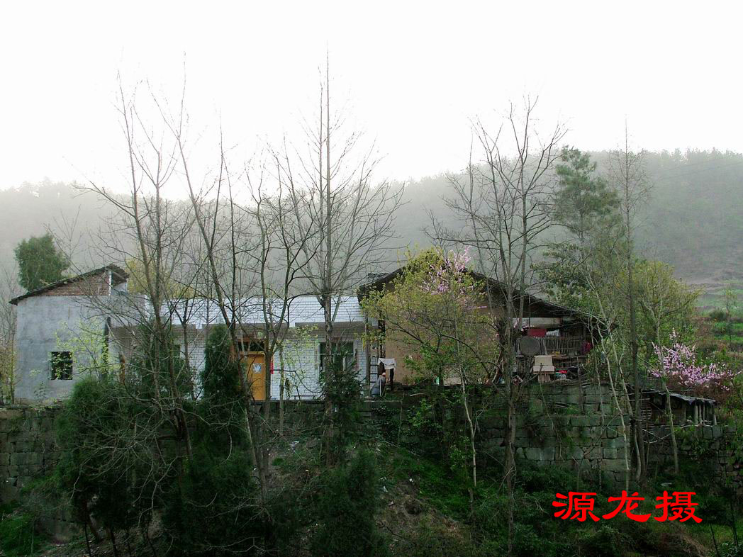 DSCF0353.JPG
