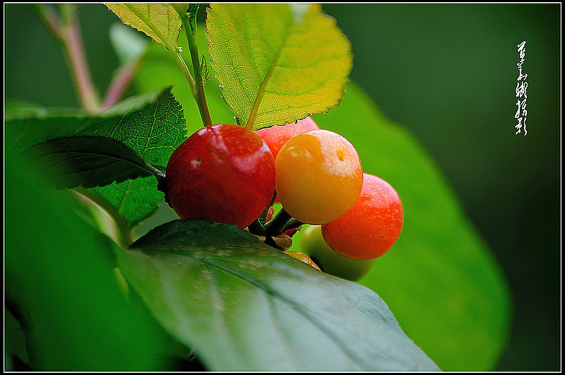 ӣ-021.jpg