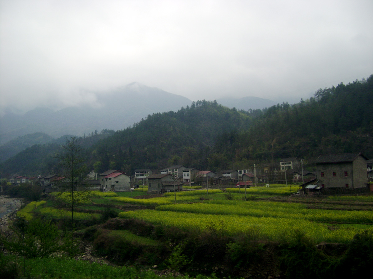 DSC01488.jpg