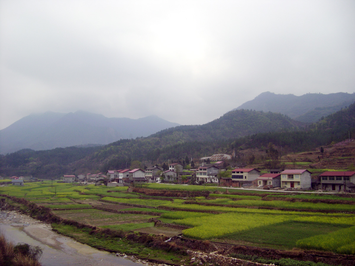 DSC01490.jpg