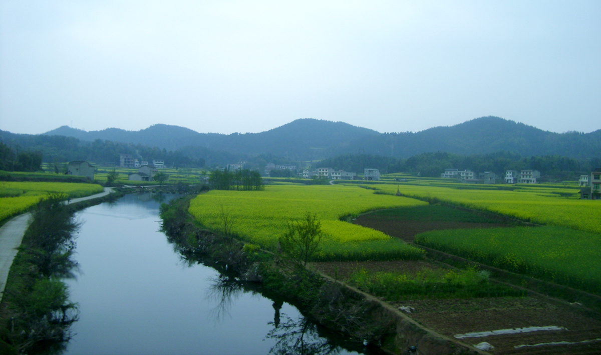 DSC01511.jpg