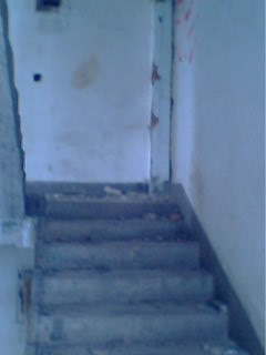 IMG0030A.jpg