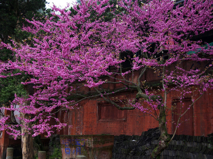 幬ǰޱ (2).jpg