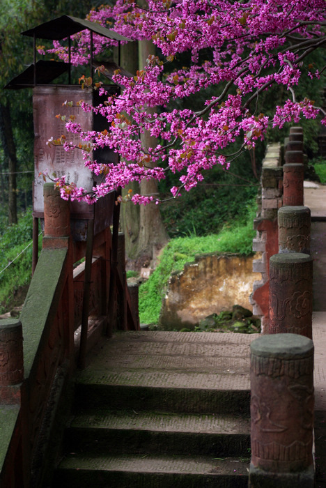 幬ǰޱ (4).jpg