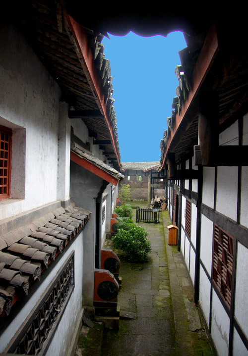 DSC00226.JPG