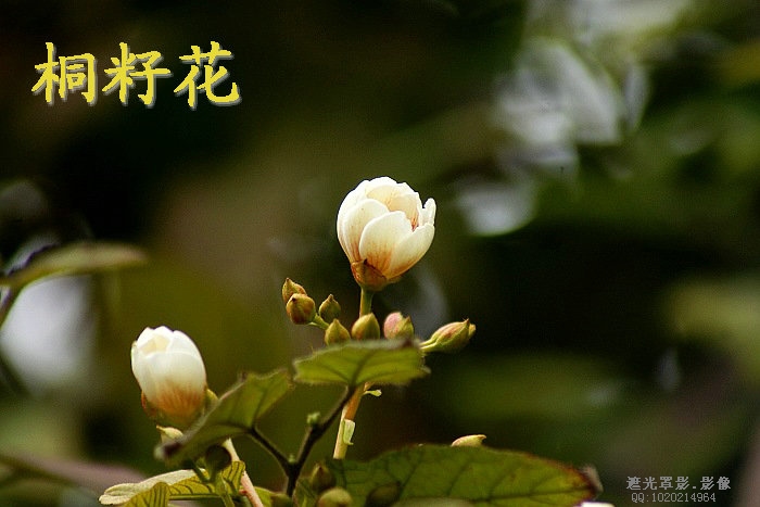 DSC03794.JPG