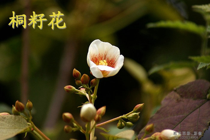 DSC03805.JPG