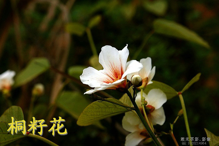 DSC03865.JPG