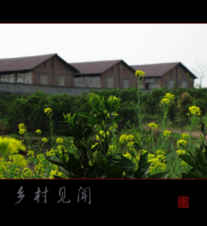 010.jpg