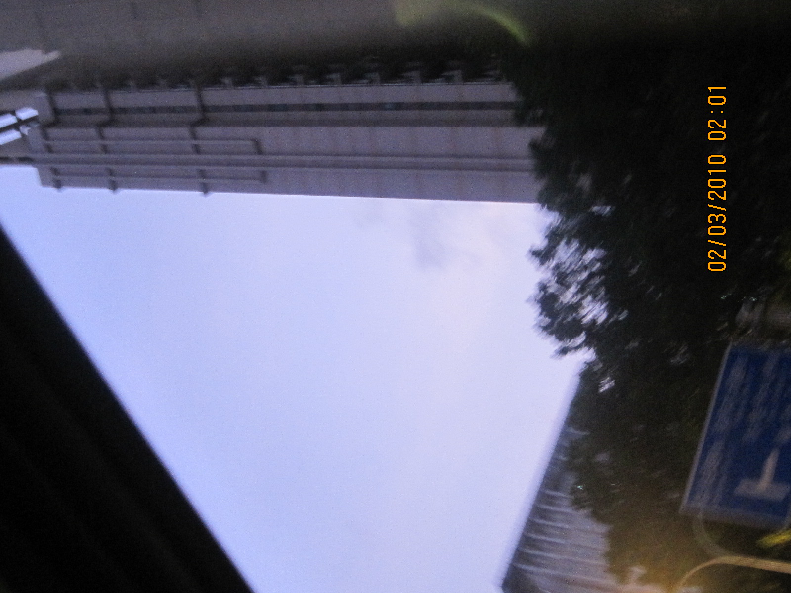 IMG_5553.jpg