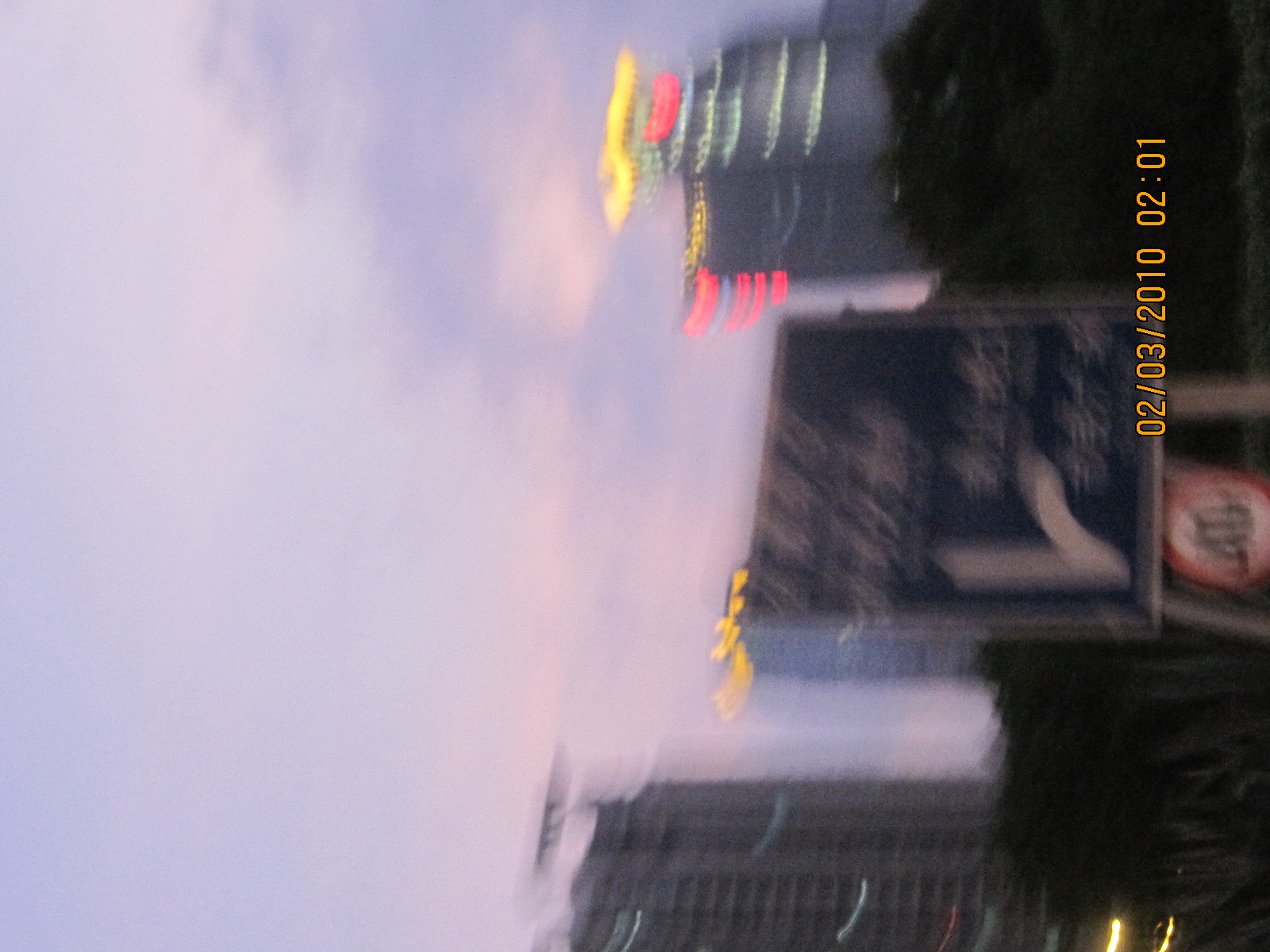 IMG_5554.jpg