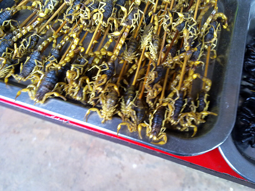 20101105060.jpg