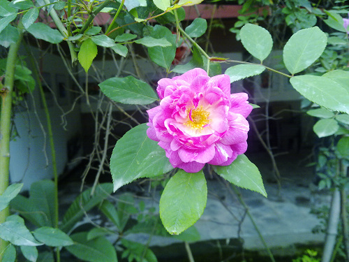20101105145.jpg