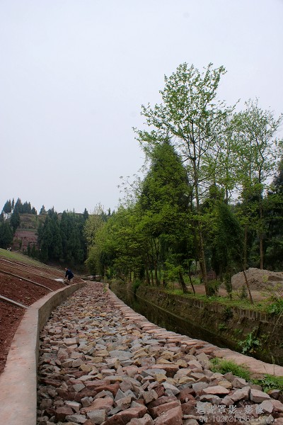 DSC03735.JPG