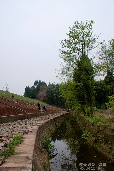 DSC03737.JPG