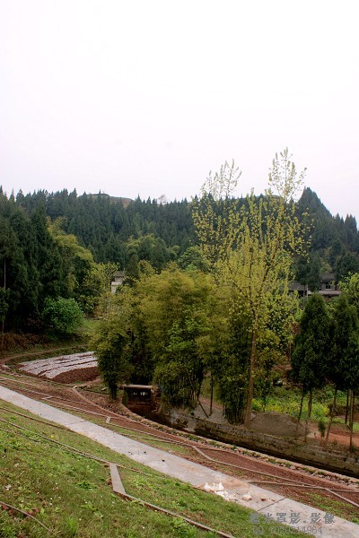 DSC03739.JPG