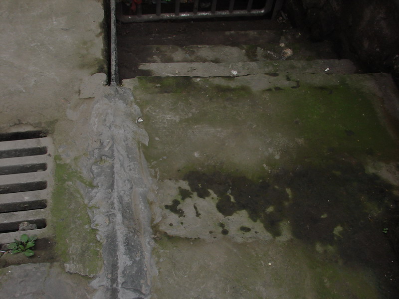 DSC08596.jpg
