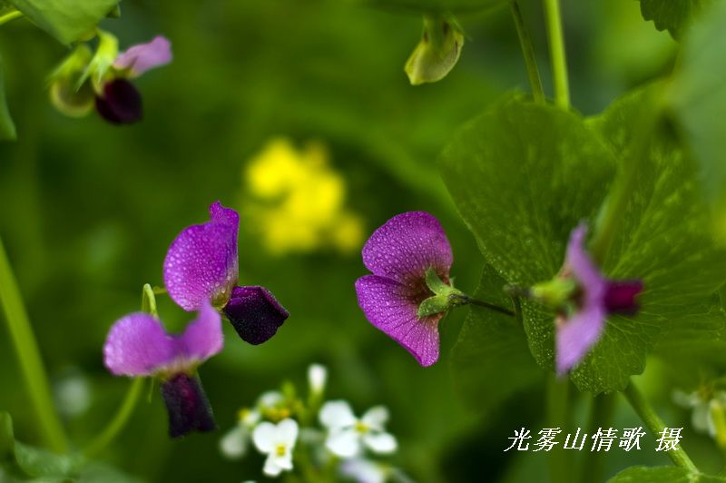nEO_IMG_ذ050.jpg