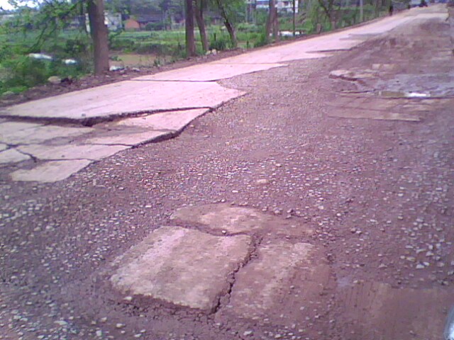 IMG1020A.jpg