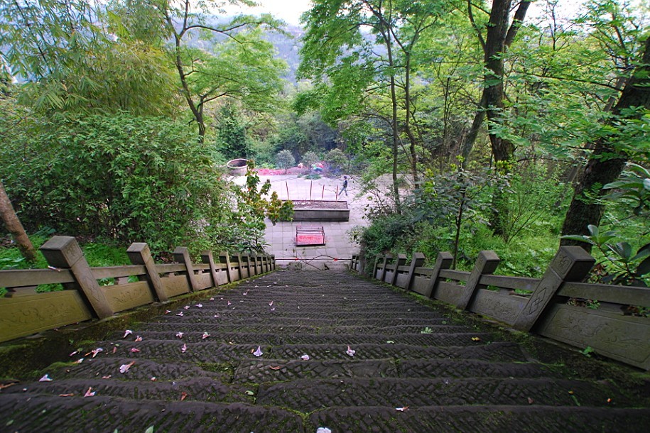 55.jpg