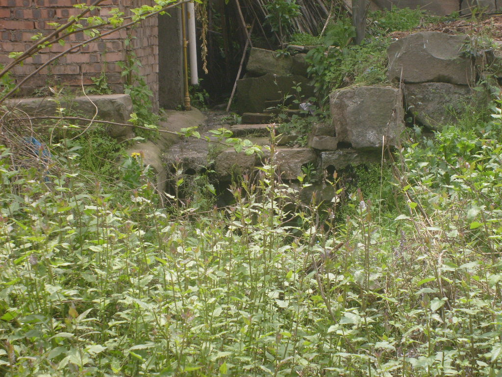 S6302057.JPG