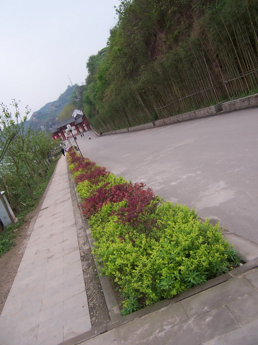 100_2376.jpg