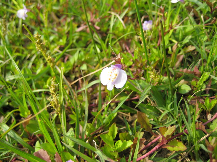 IMG_0046.jpg