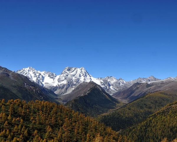 64_96642_adfd4c57f0f404e.jpg