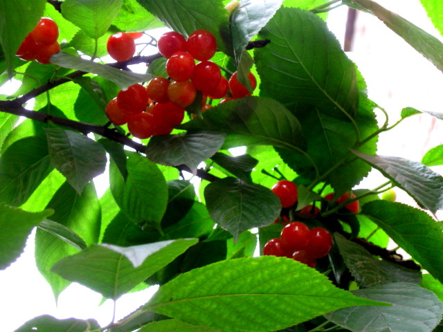 IMG_7870.jpg