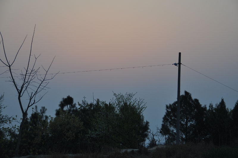 DSC_0008.jpg