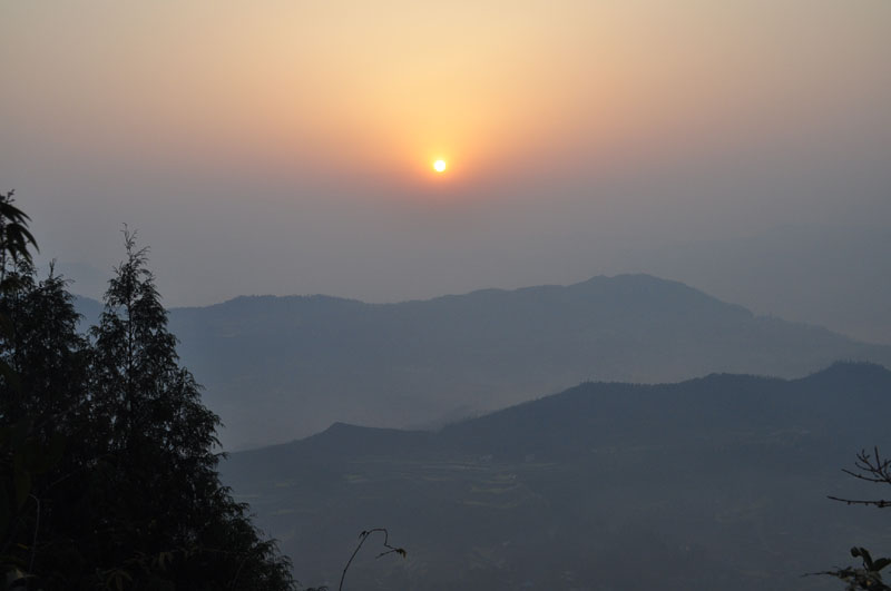 DSC_0041.jpg