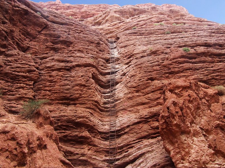 DSCF1652.jpg