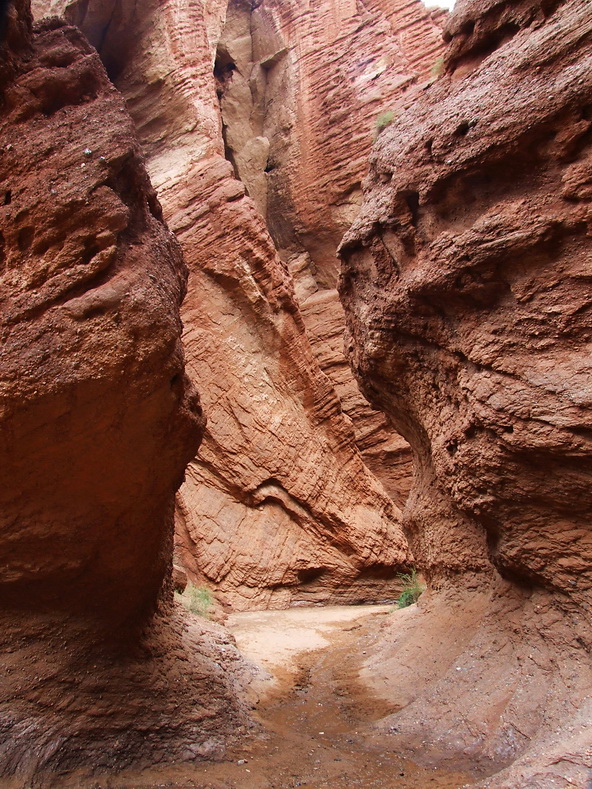 DSCF1649.jpg