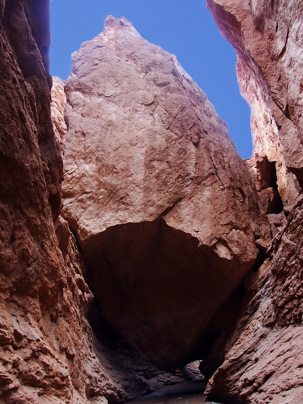 DSCF1723.jpg
