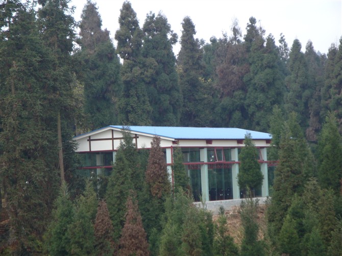04.jpg